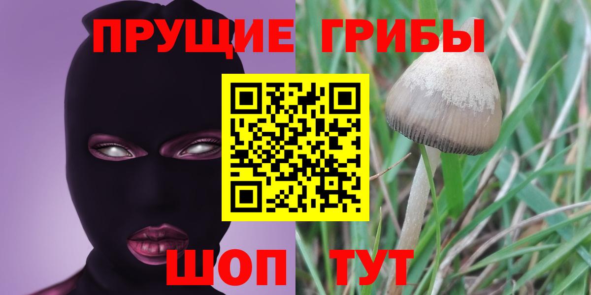 Псилоцибиновые грибы мицелий  Галлюциногенные грибы Psilocybe  Малоярославец  Вход с VPN 
